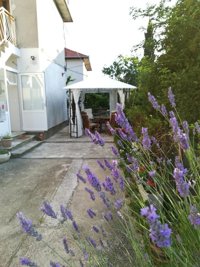 Lili Apartment In Zadar Pet Friendly, Free Parking Extérieur photo